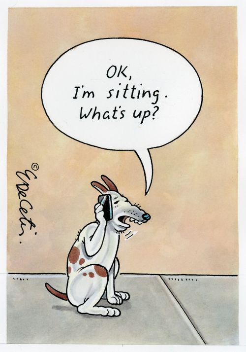"Okay, I'm sitting up. What's up?"