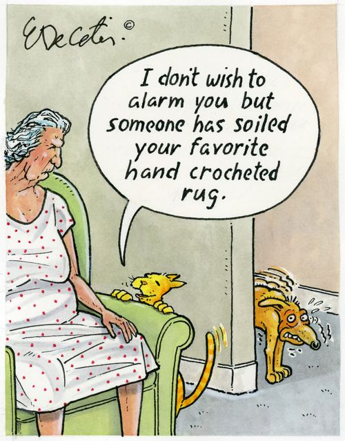 "I don't wish to alarm you but someone has soiled your favourite hand crocheted rug."