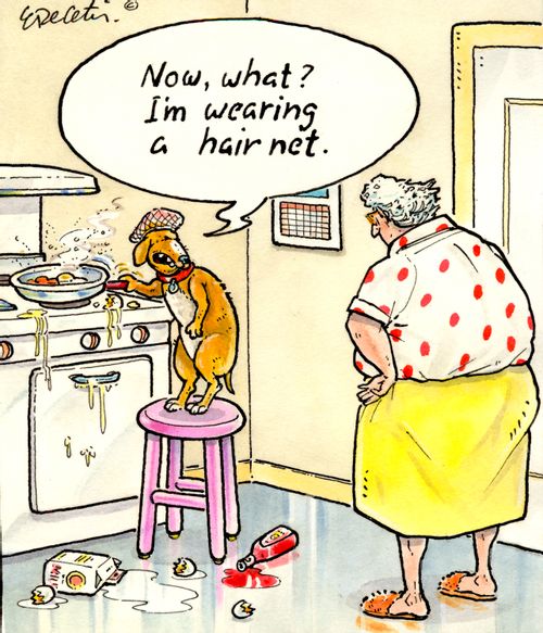 "Now, what? I'm wearing a hair net."