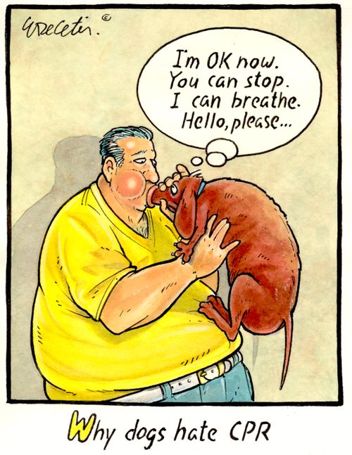 Why dogs hate CPR.