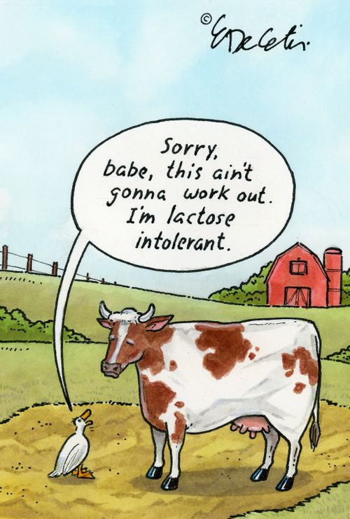 "Sorry, babe, this ain't gonna work out. I'm lactose intolerant."
