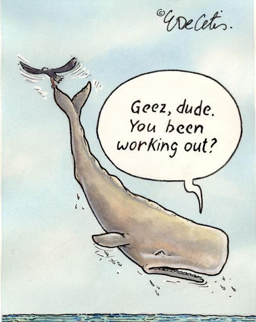 "Geez, dude. You been working out?"