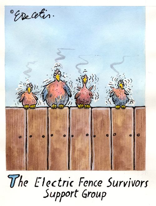 The Electric Fence Survivors Support Group