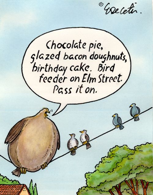 “Chocolate pie, glazed bacon doughnuts, birthday cake. Bird feeder on Elm Street. Pass it on.”