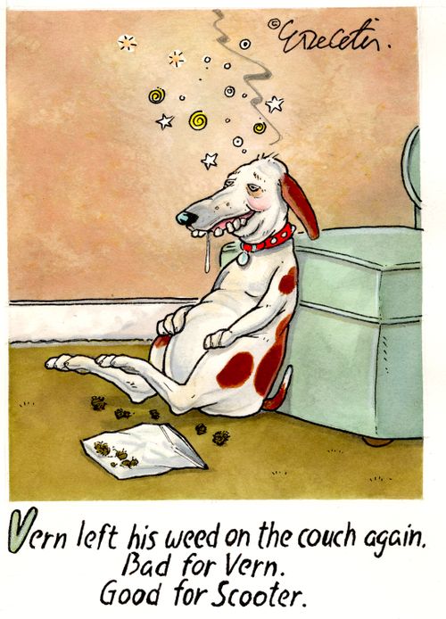 Vern left his weed on the couch again. Bad for Vern. Good for Scooter.