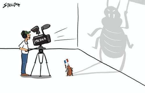 Bed bug infestation in France
