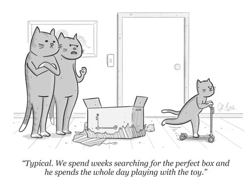 "Typical. We spend weeks searching for the perfect box and he spends the whole day playing with the toy."