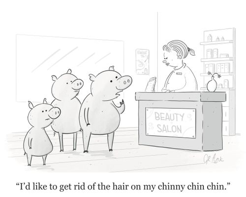 "I'd like to get rid of the hair on my chinny chin chin."