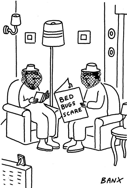 Bed Bugs Scare