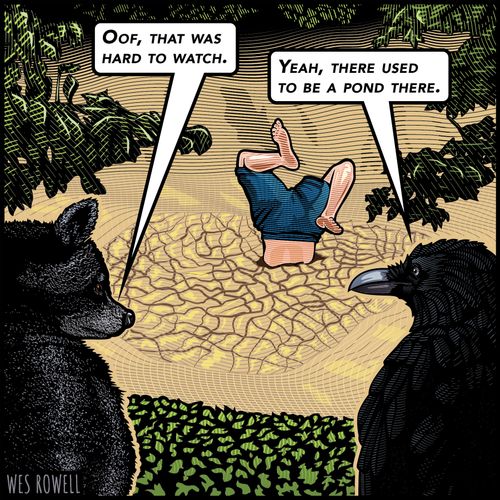 "Yeah, there used to be a pond there."