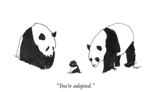 "You're adopted."