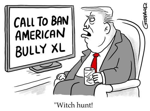 Call to ban American Bully XL