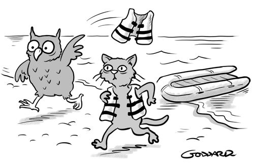 The Owl and the Pussycat as migrants coming ashore from their pea green inflatable dinghy