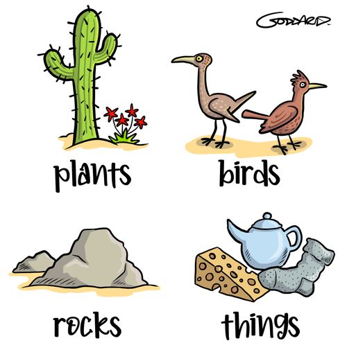 Plants and birds and rocks and things