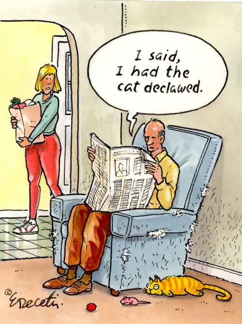 "I said, I had the cat declawed."