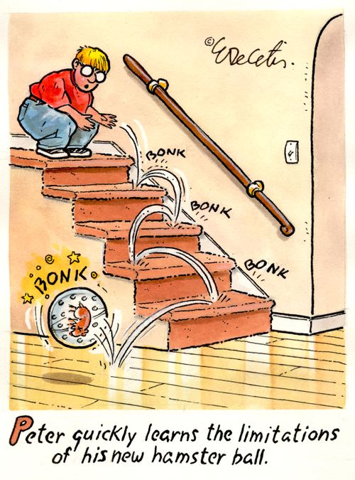 "Peter quickly learns the limitations of his new hamster ball."