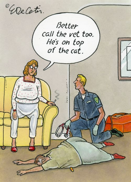"Better call the vet too. He's on top of the cat."