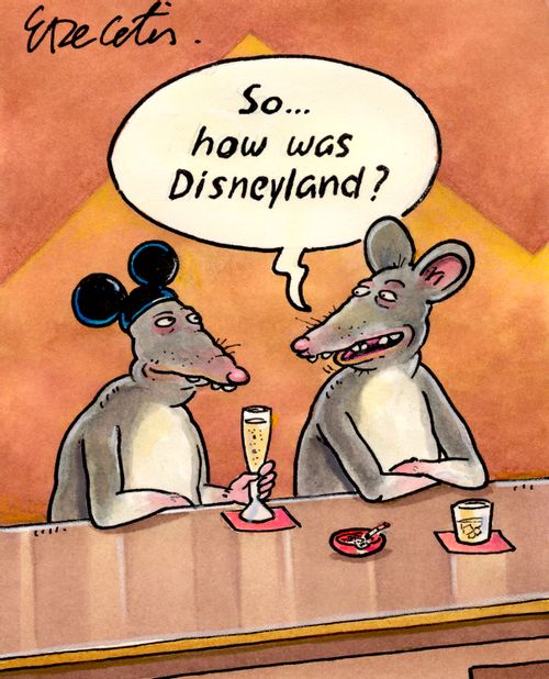 "So... how was Disneyland?"