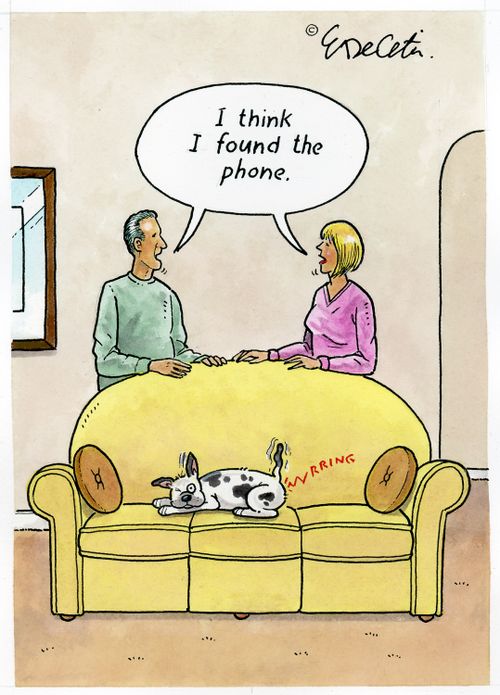 "I think I found the phone."