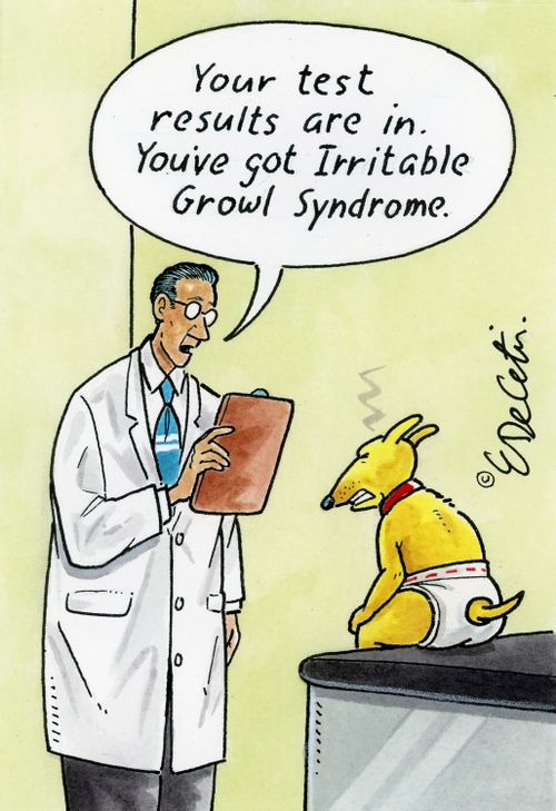 "Your test results are in. You've got Irritable Growl Syndrome."