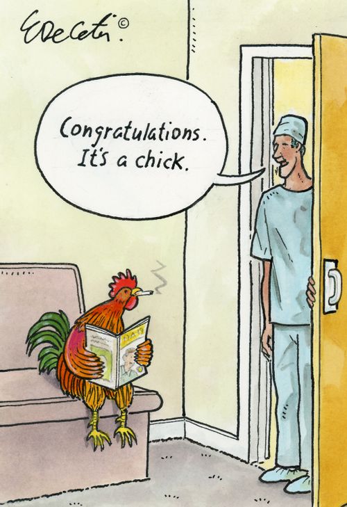 "Congratulations. It's a chick."