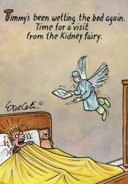 Timmy's been wetting the bed again. Time for a visit from the Kidney fairy.