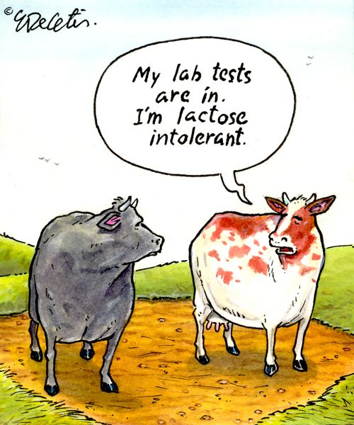 "My lab tests are in. I'm lactose intolerant."