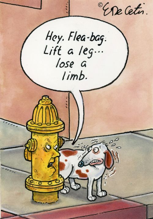 "Hey, flea-bag. Lift a leg... lose a limb."