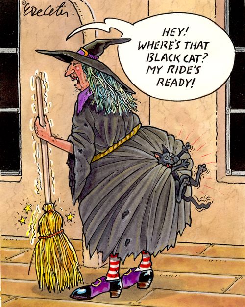"Hey! Where's that black cat? My ride's ready!"