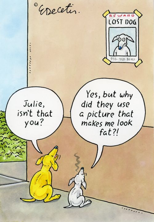 "Yes, but why did they use a picture that makes me look fat?!"
