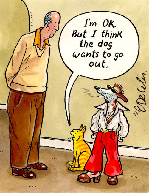 "I'm OK. But I think the dog wants to go out."
