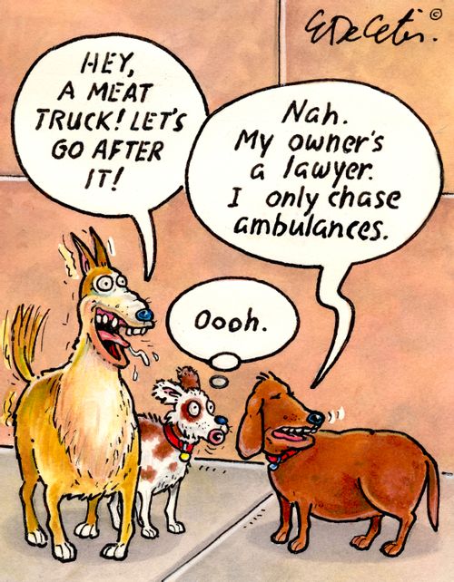 "Hey, a meat truck! Let’s go after it!"  "Nah. My owner’s a lawyer. I only chase ambulances."  "Oooh."