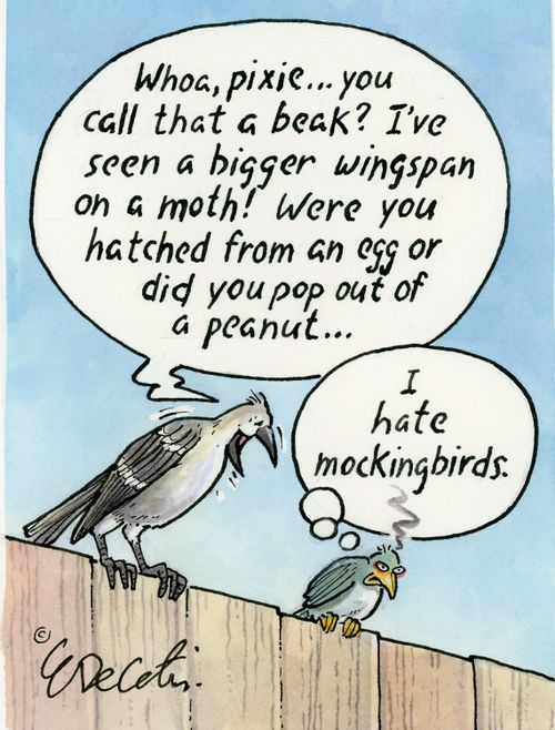 "Whoa, pixie... you call that a beak? I've seen a bigger wingspan on a moth! Were you hatched from an egg or did you pop out of a peanut..."  "I hate mockingbirds."
