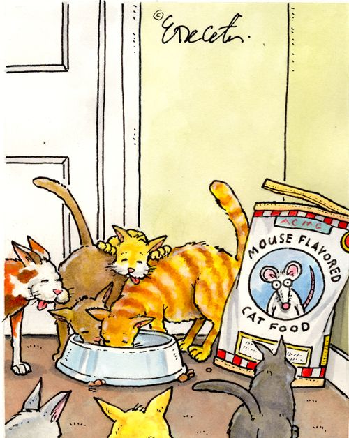 "MOUSE FLAVORED CAT FOOD"