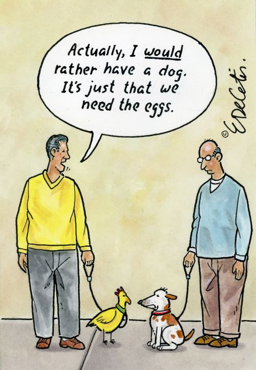 "Actually, I would rather have a dog. It's just that we need the eggs."