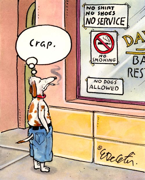 "Crap."