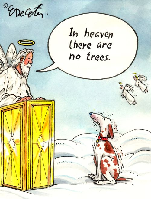 "In heaven there are no trees."