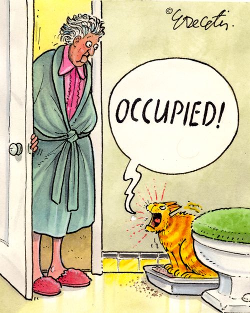 "Occupied!"