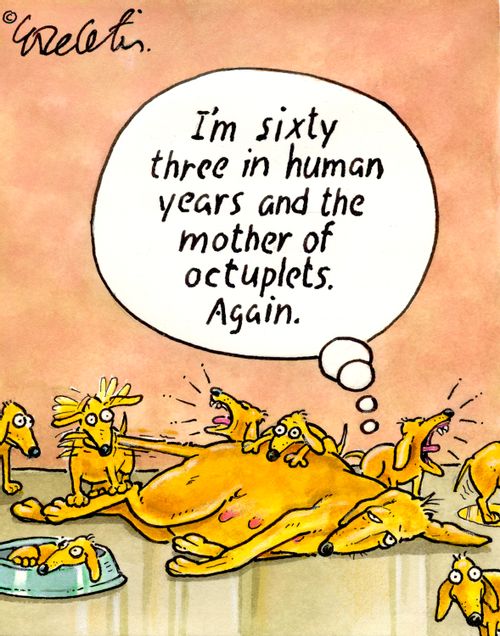 "I'm sixty three in human years and the mother of octuplets. Again."