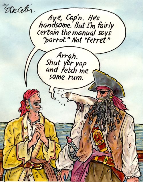 "Aye, Cap'n. He's handsome. But I'm fairly certain the manual says 'parrot.' Not 'ferret.'" "Arrgh. Shut yer yap and fetch me some rum."