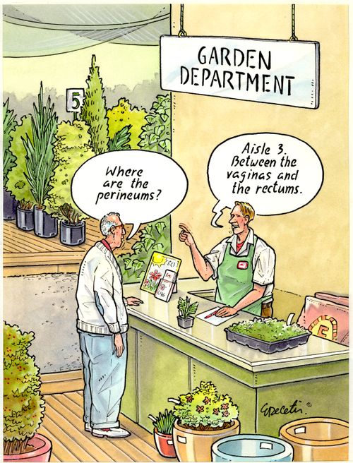 "Where are the perineums?" "Aisle 3. Between the vaginas and the rectums."