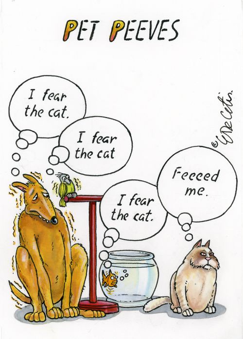 "Pet peeves" "I fear the cat." "I fear the cat" "I fear the cat." "Fecced me."
