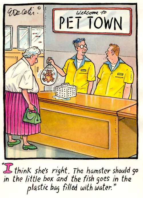 "I think she's right. The hamster should go in the little box and the fish goes in the plastic bag filled with water."