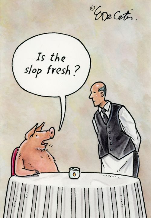 "Is the slop fresh?"