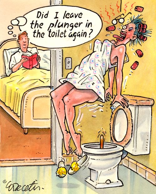 Did I leave the plunger in the toilet again?