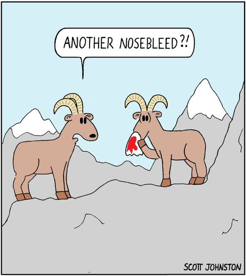 "Another nosebleed?!"
