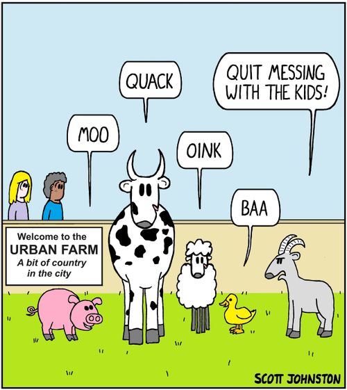 Welcome to the urban farm. A bit of country in the city.