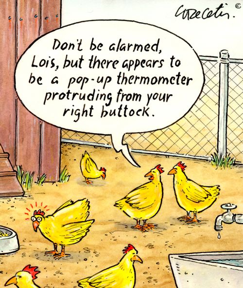 "Don't be alarmed, Lois, but there appears to be a pop-up thermometer protruding from your right buttock."