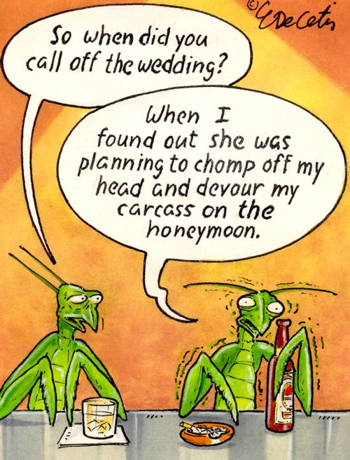 "When I found out she was planning to chomp off my head and devour my carcass on the honeymoon."