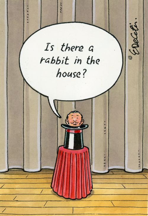 "Is there a rabbit in the house?"